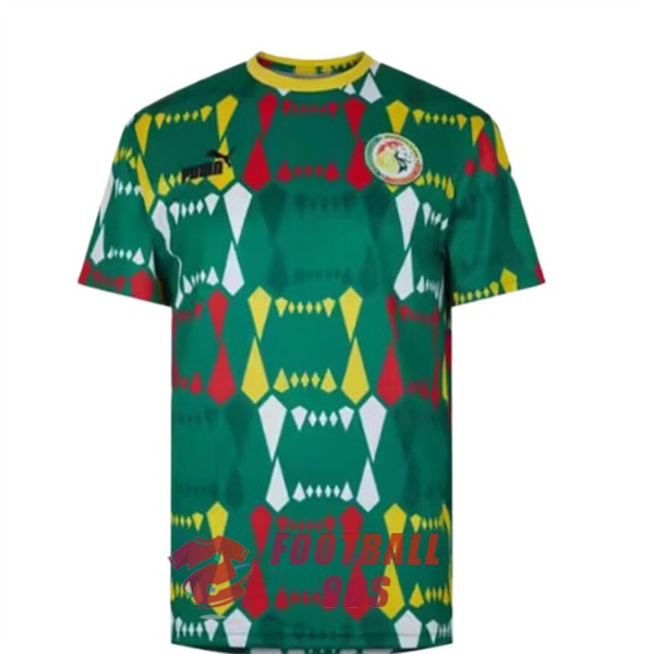 maillot senegal edition speciale version joueur 2023-2024 camouflage vert