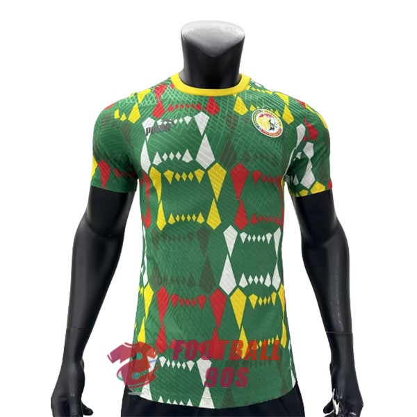 maillot senegal edition speciale version joueur 2023-2024 vert